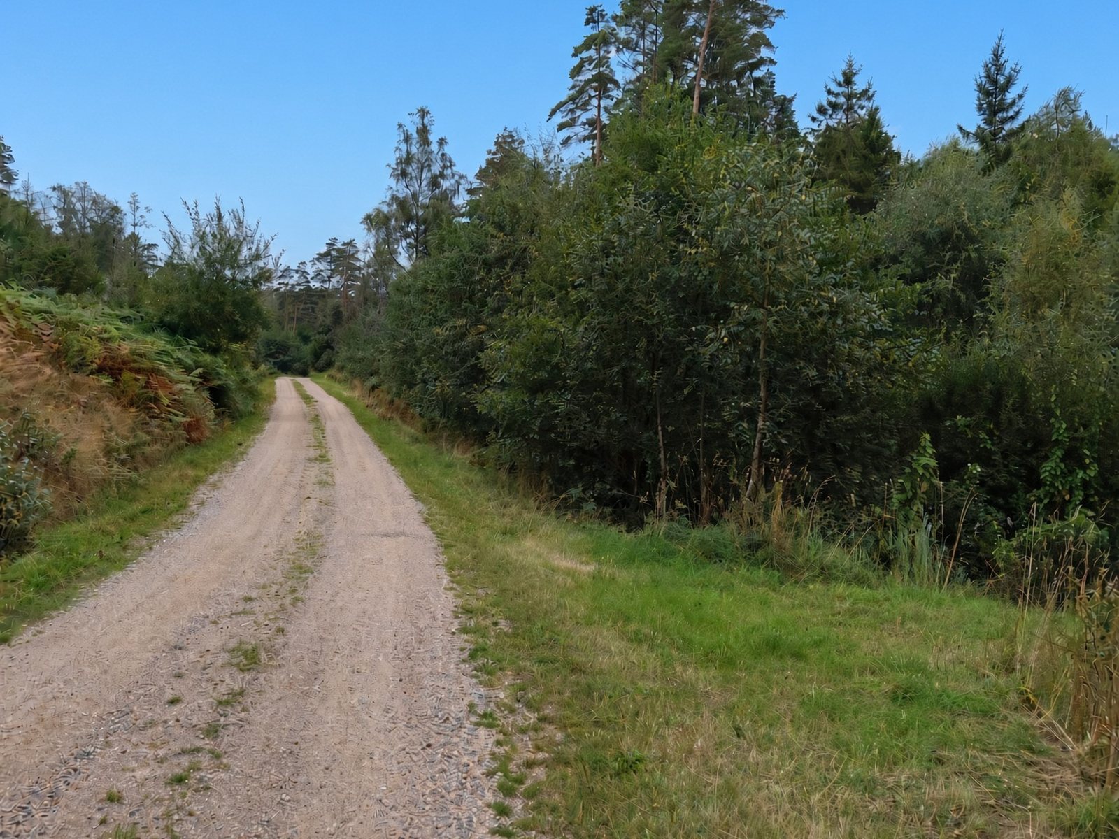 Grusväg genom Orusts landsbygd under blå himmel